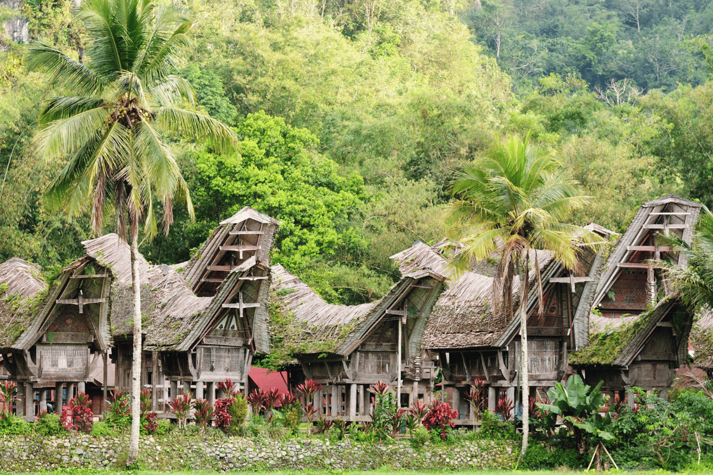historical places in indonesia | enter the village of the dead in tana taroja