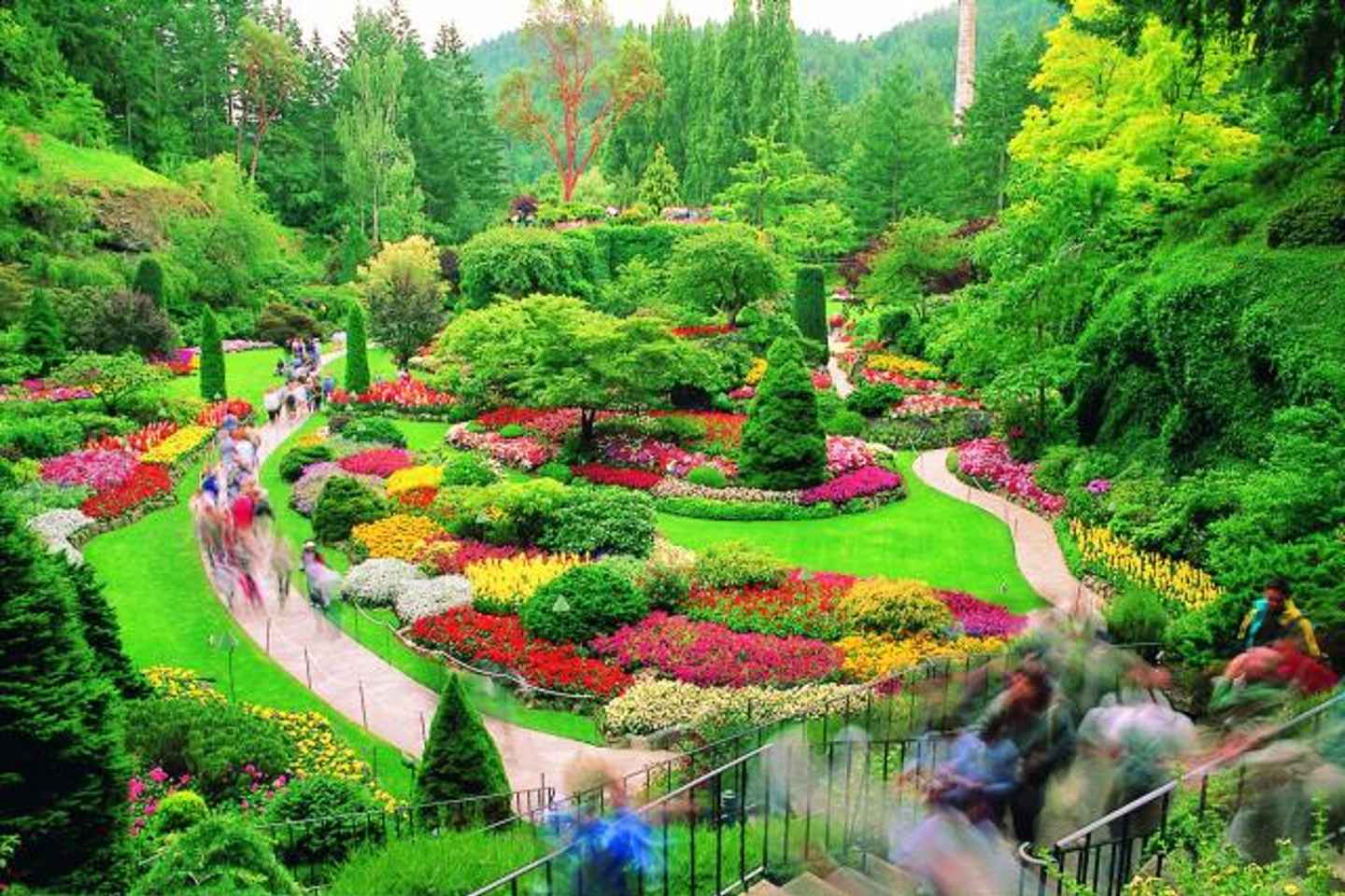 day trips from victoria bc | the butchart gardens