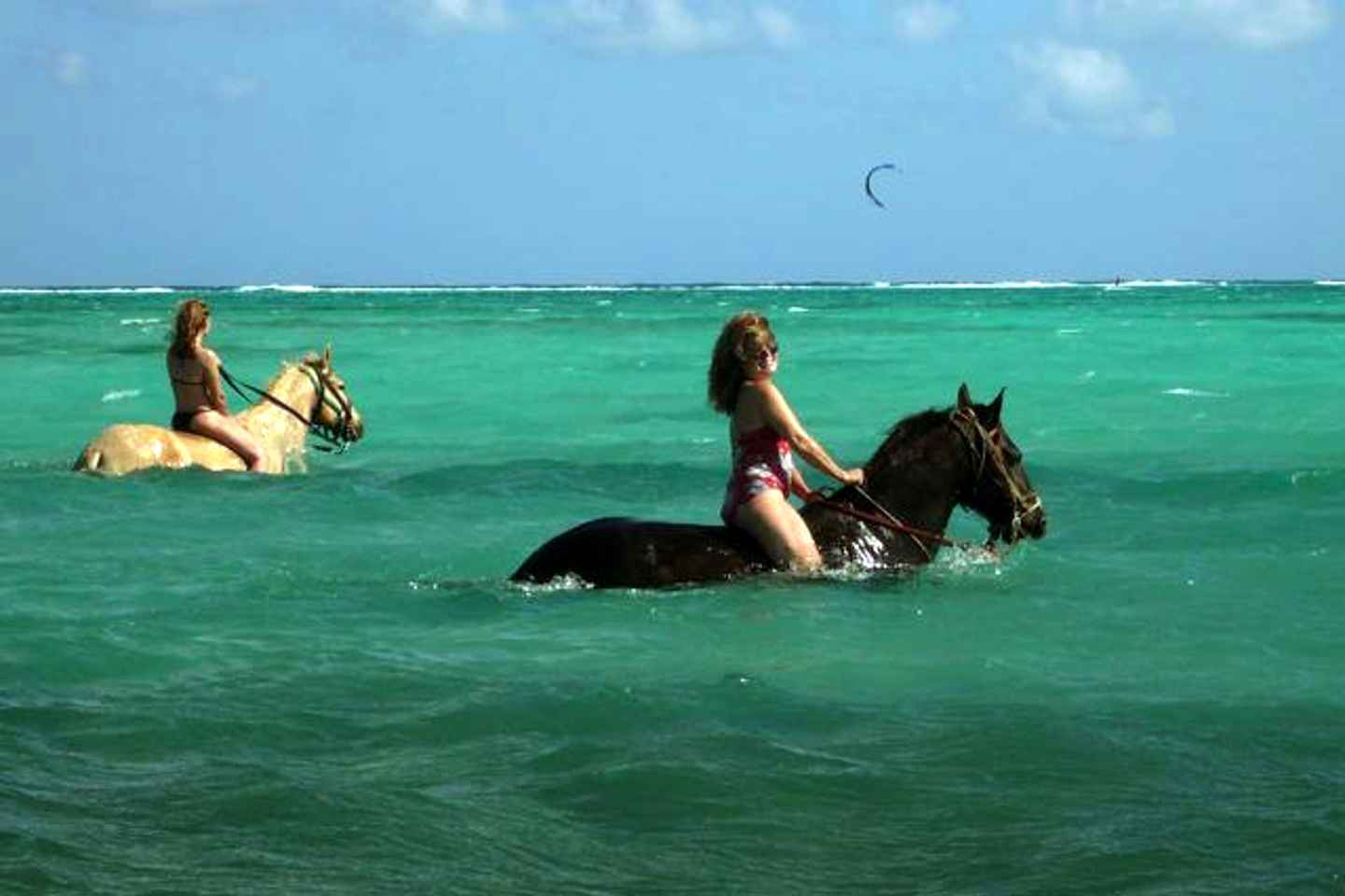 things to do in cayman islands | soak in the amazing view and the caribbean waters on a horseback ride