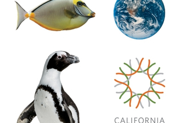 San Francisco: Tour VIP de la Academia de Ciencias de California