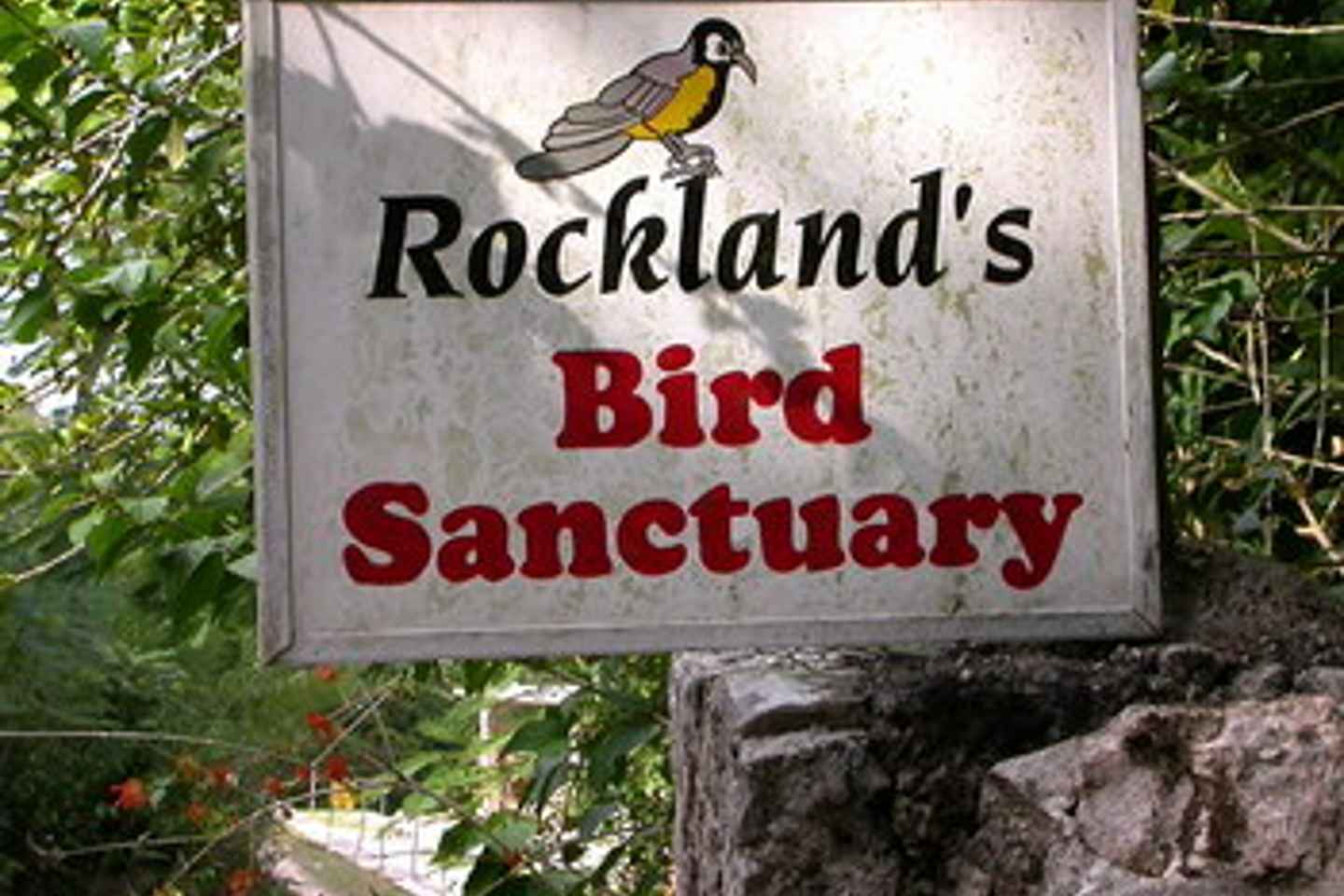 go bird watching at rocklands bird sanctuary