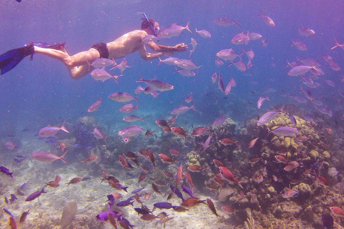 things to do in la romana | passion paradise adventures