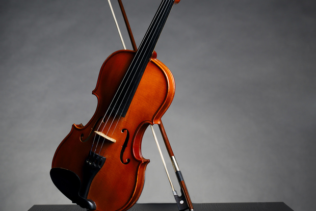 Pomeriggio Accesso alla Galleria dell'Accademia: David e Stradivarius