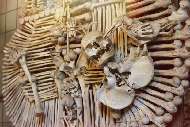 Da Praga: tour di mezza giornata di Kutná Hora