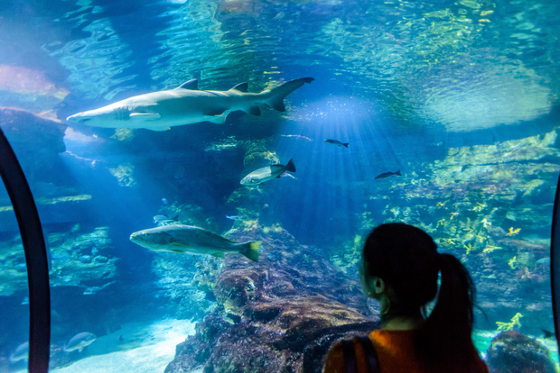 Barcelona Aquarium: Skip-the-Line Admission Ticket
