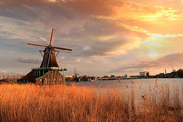 De Amsterdã: Excursão Aldeias e Moinhos de Vento
