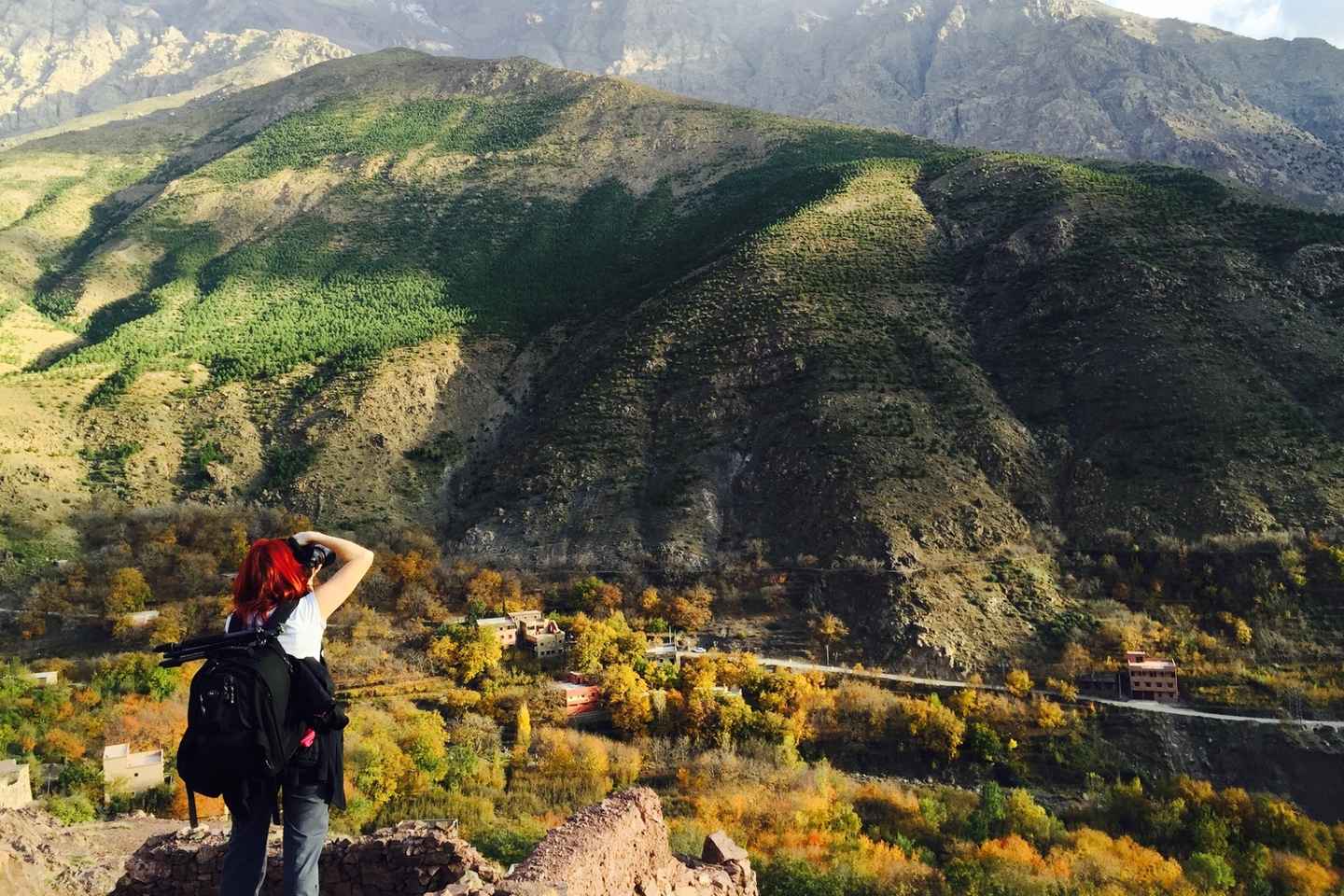 getyourguide marrakech | explore the atlas mountains on a camel ride