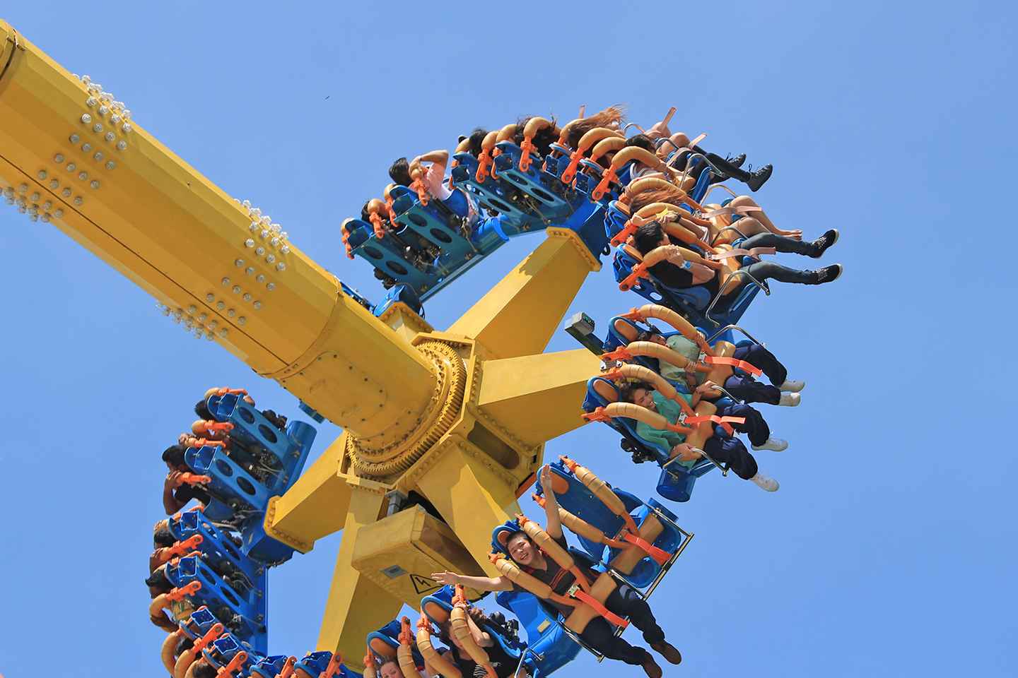 dream world amusement park