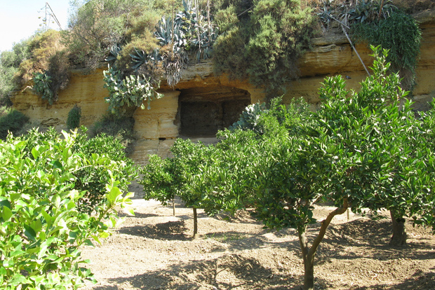 Valle dei Templi e Giardino della Kolymbethra: tour privato