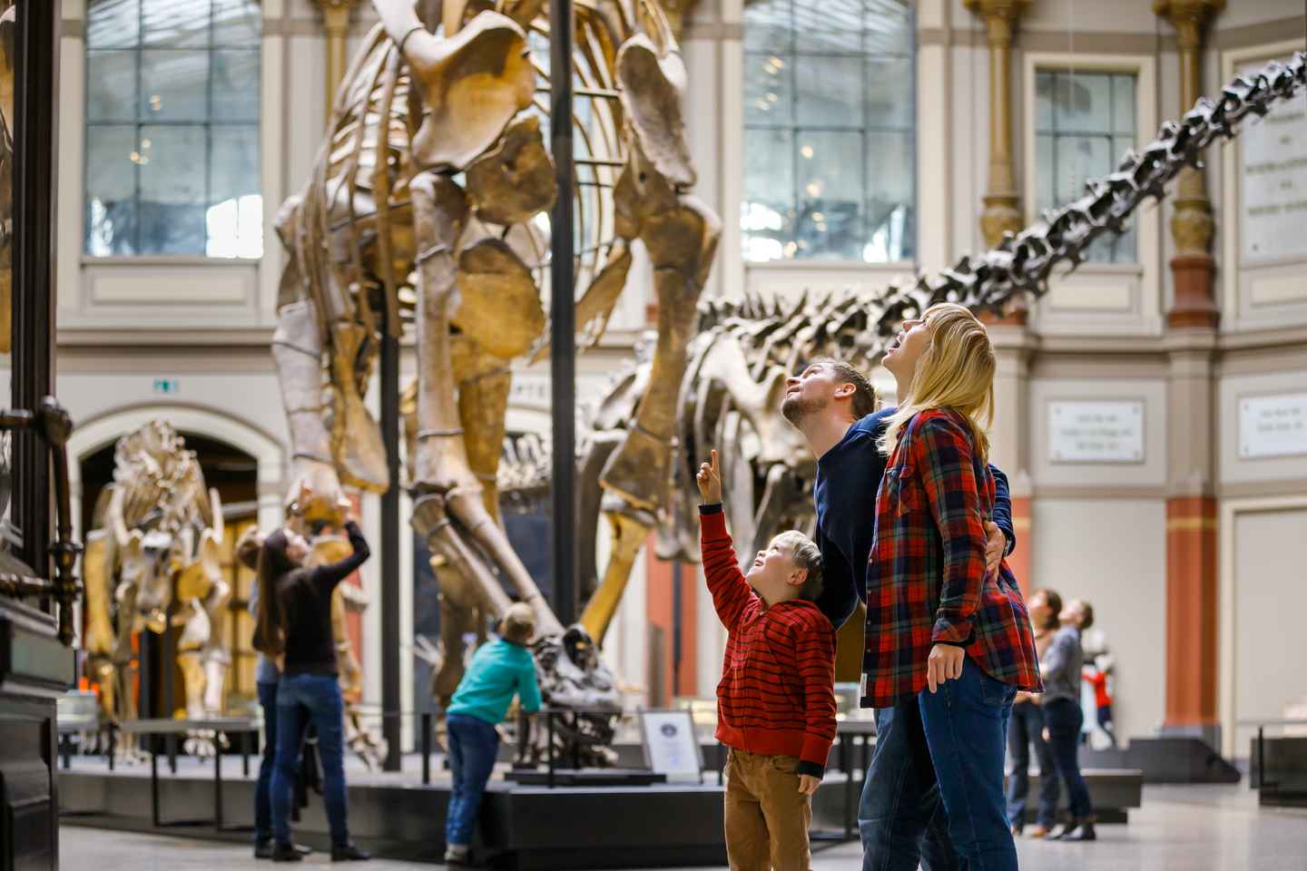things to do in berlin mitte | see tristan the t-rex at berlin's natural history museum