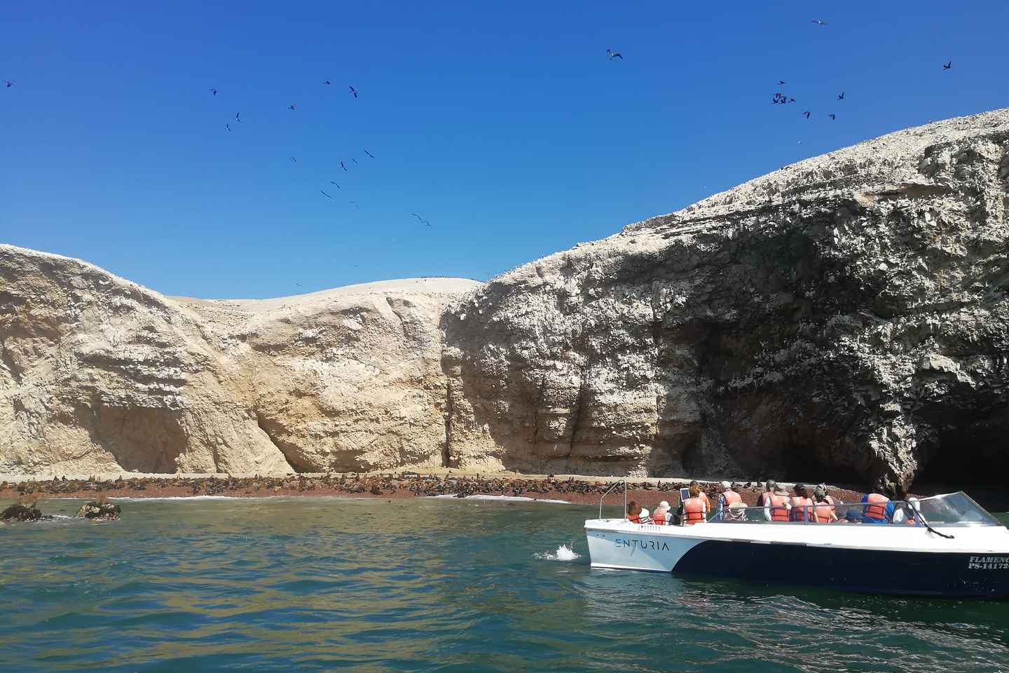 ballestas islands