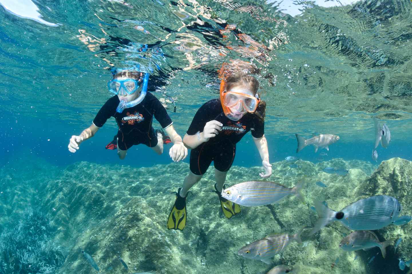 things to do in cannes france | discover the underwater world in cannes bay