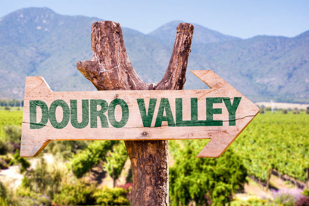 Douro Valley Tour: Wine Tasting, River Cruise and Lunch