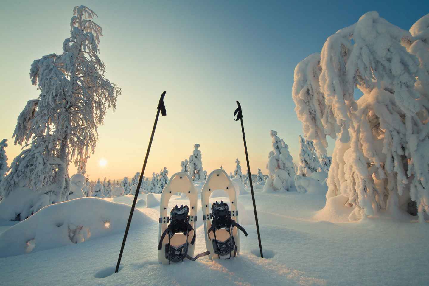 go hiking and snowshoeing
