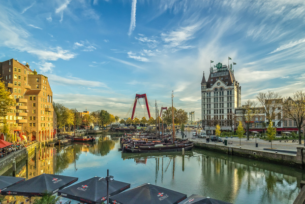 Excursión privada de un día desde Amsterdam a Rotterdam y La Haya