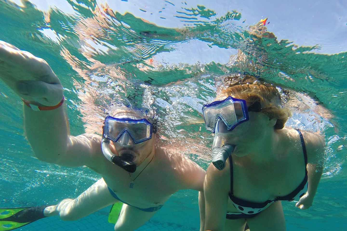things to do in sharm el-sheikh egypt | go snorkelling in ras muhammad national park's amazing reef