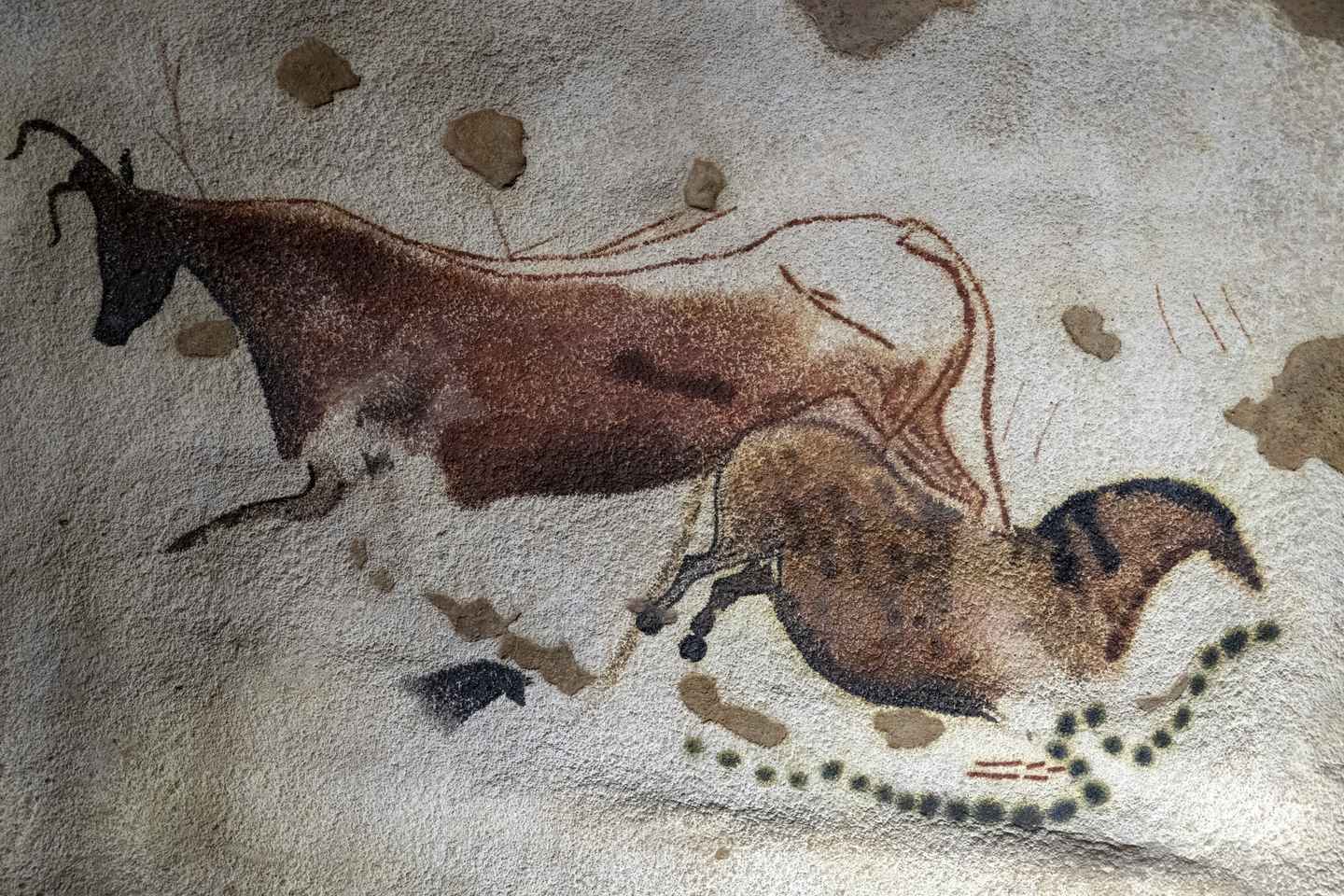 things to do in aquitaine | visit the magnificent lascaux iv international center of parietal art