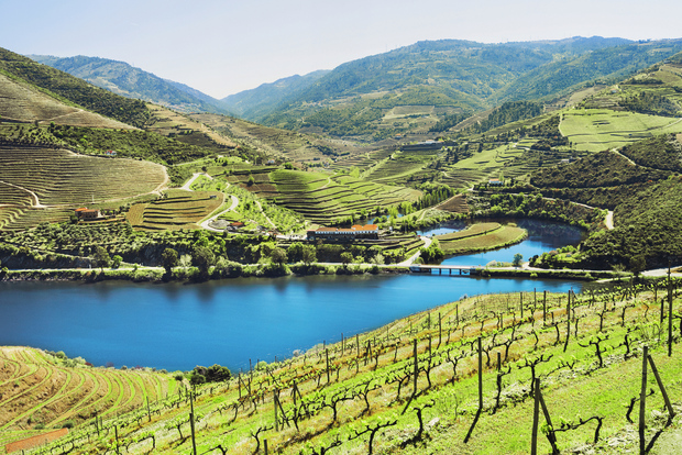 Full-Day Douro Wine Tour with Lunch and River Cruise