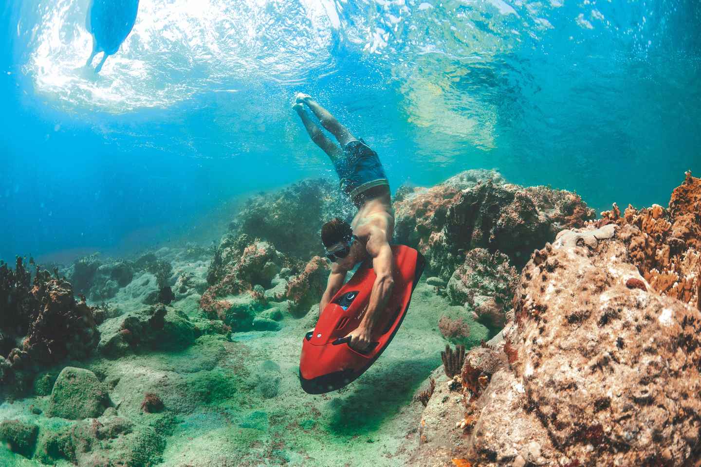 enjoy a seabob snorkel rental and excursion