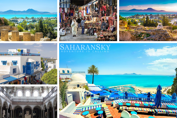 Da Tunisi: gita di un giorno a Cartagine, Sidi Bou Said e Medina