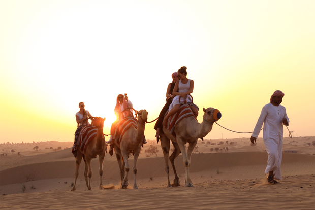 Dubai: giro in cammello al tramonto, spettacolo e cena