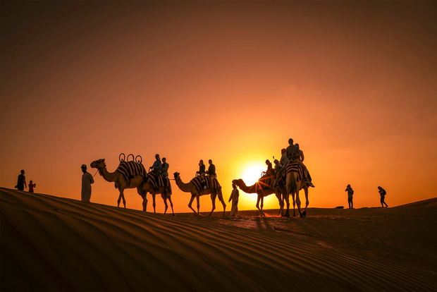 Abu Dhabi: Sunset Camel Trek & Barbecue Dinner
