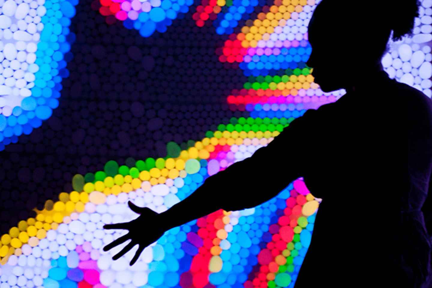 immerse yourself in arts and sciences