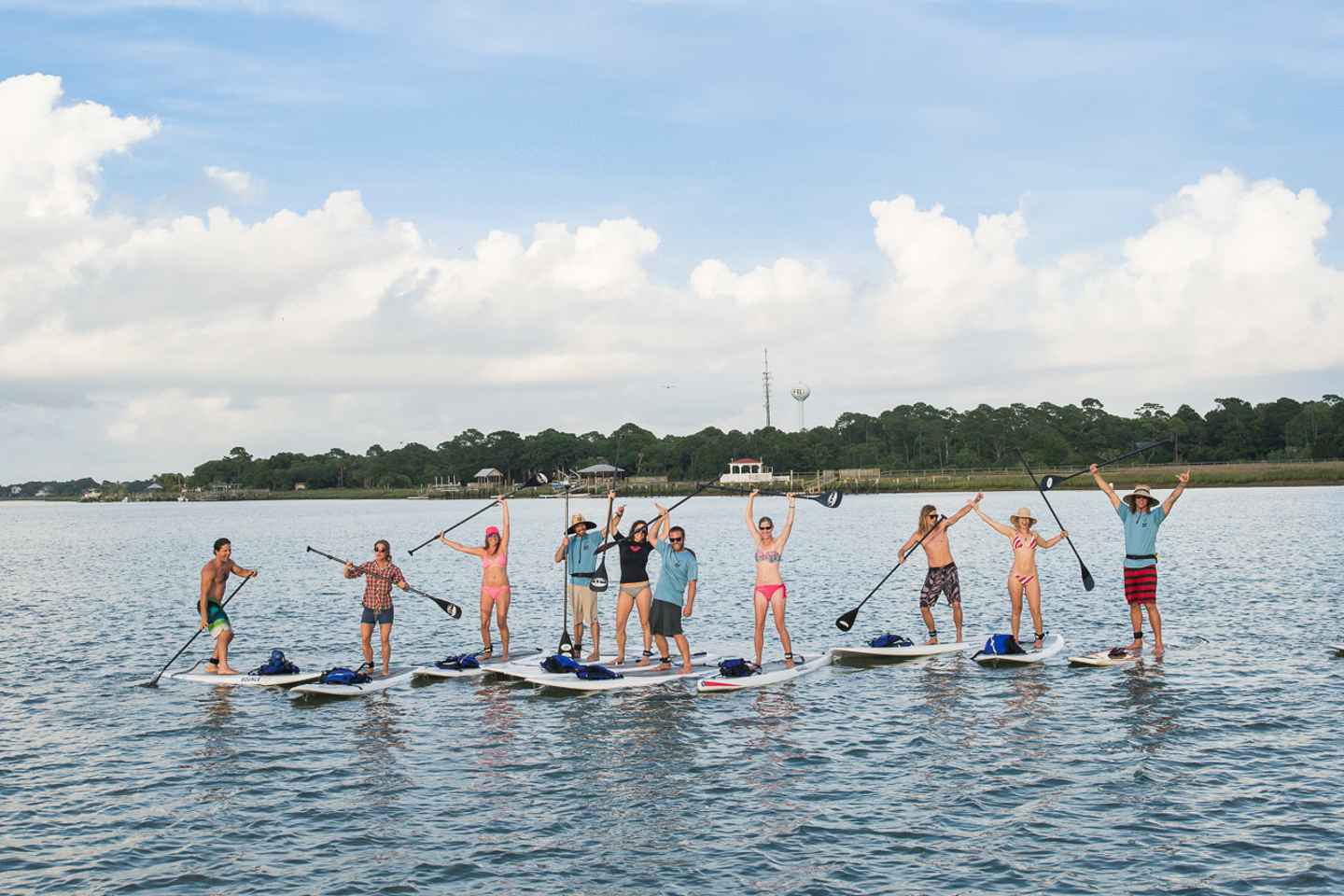 safari in myrtle beach | have fun on a folly beach dolphin safari