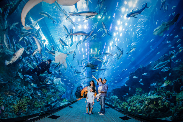 Ingresso de 1 Dia Aquário de Dubai e Zoológico Subaquático