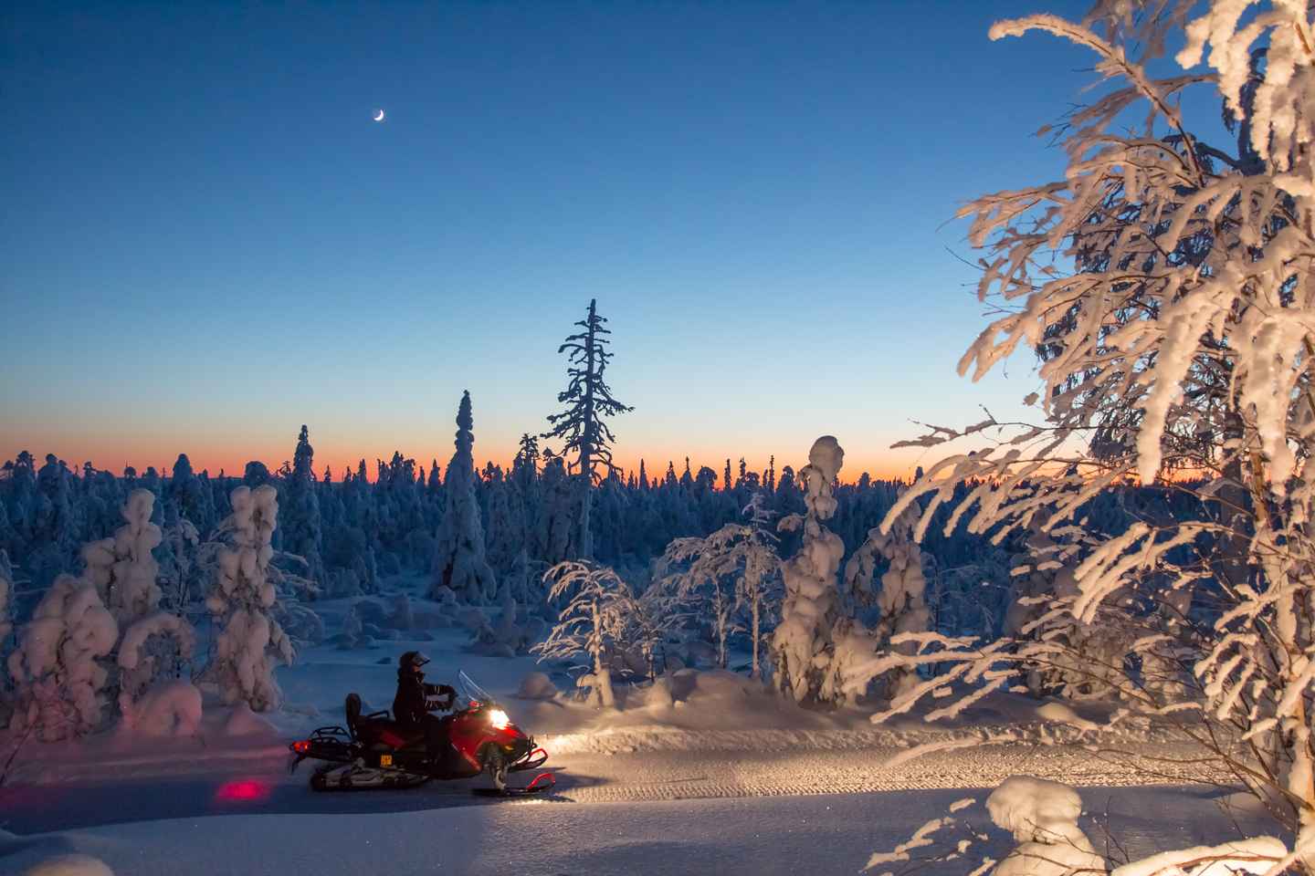 explore the landscape on a snowmobile safari and have an evening campfire in the woods