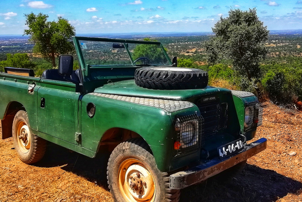 Alentejo: Cork Forest Safari con pranzo opzionale
