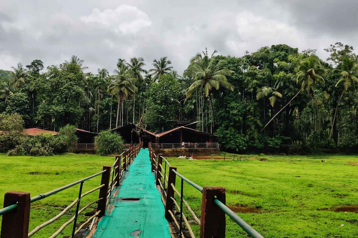 tropical spice plantation
