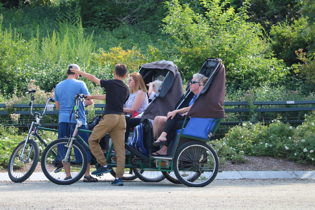 New York: tour guidato del Pedicab di Central Park