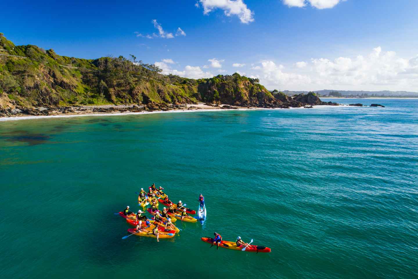kayak with dolphins in byron bay
