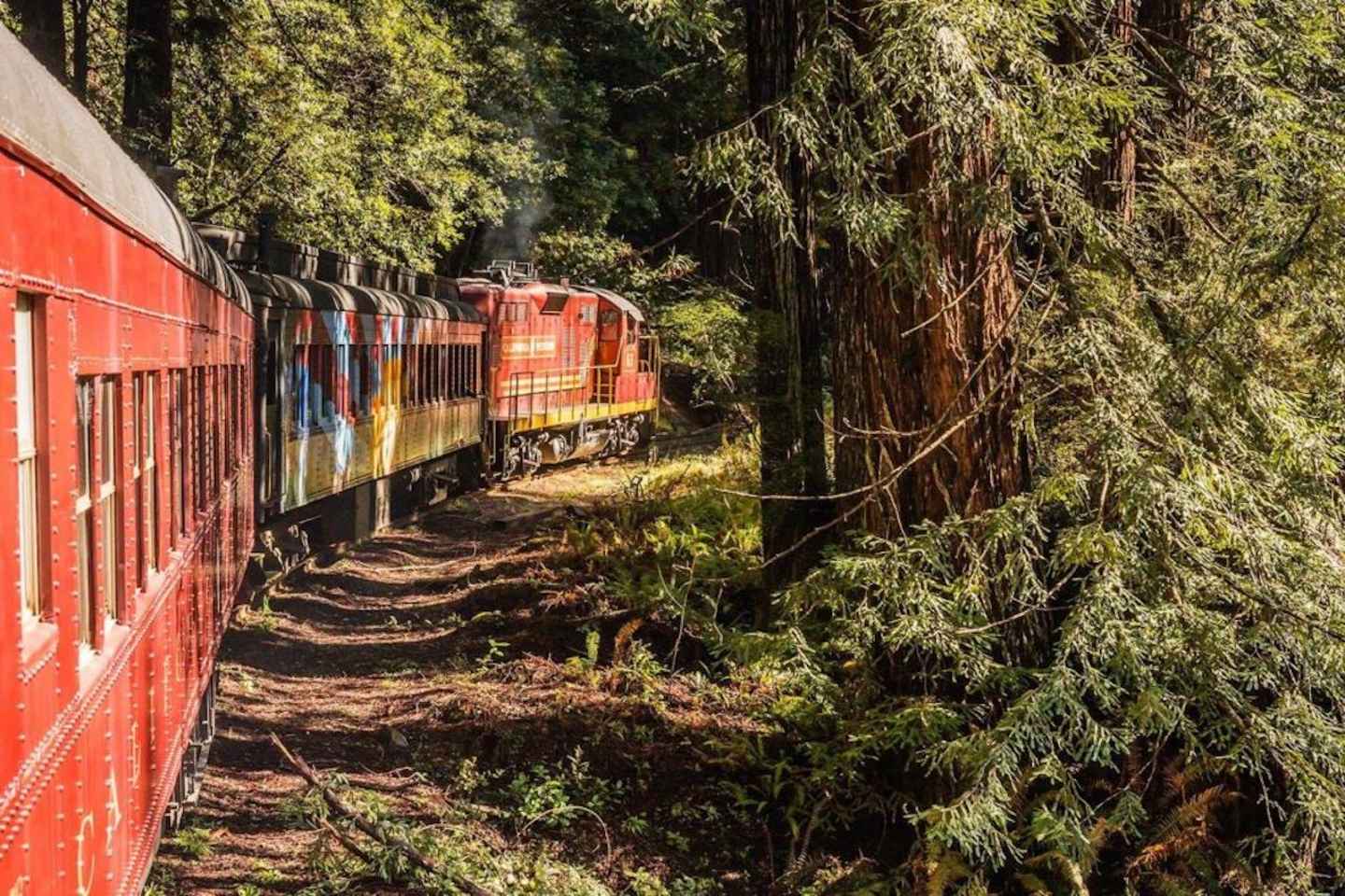 ride the skunk train in mendocino county