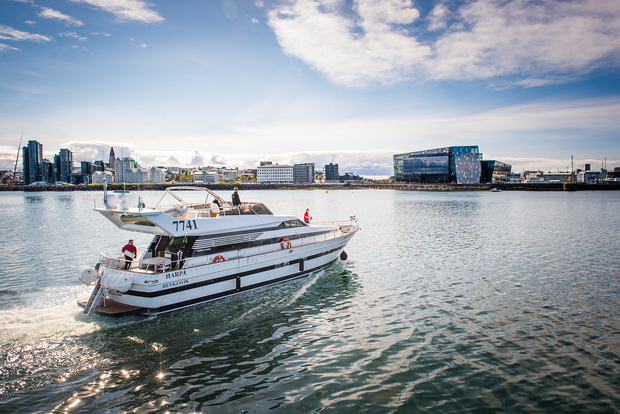 Reykjavik: Northern Lights Luxury Yacht Cruise