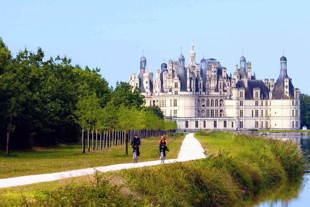 Parigi: Castello di Chambord nella Valle della Loira, degustazione di vini e pranzo
