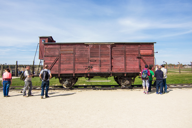 Desde Cracovia: tour Auschwitz-Birkenau con transporte