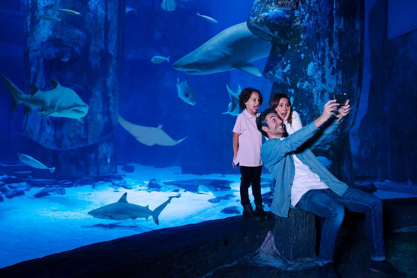 attractions in london | sea life aquarium, london