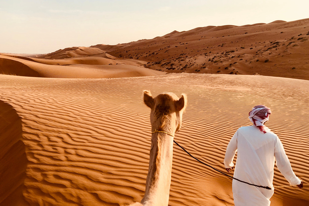 Dubai: premium dune rosse e safari con barbecue in cammello ad Al Khayma