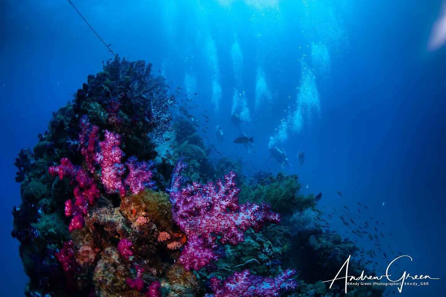 day trips from townsville | yongala wreck
