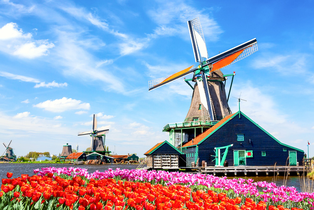 Amsterdam: tour in autobus di piccole dimensioni Volendam, Edam e Zaanse Schans