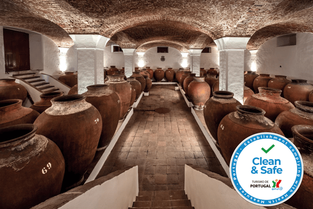 Évora: tour guidato della cantina a José de Sousa con degustazione di vini