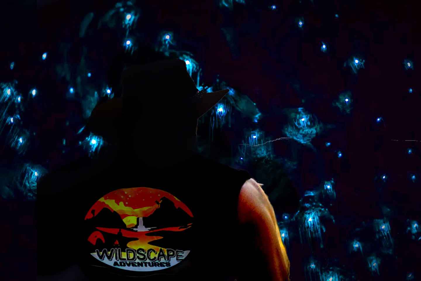glowy adventures in the blue mountains