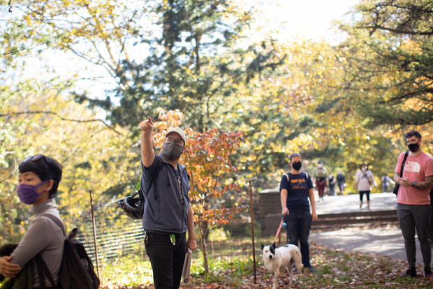 Brooklyn: tour guidato a piedi di 2 ore al Prospect Park
