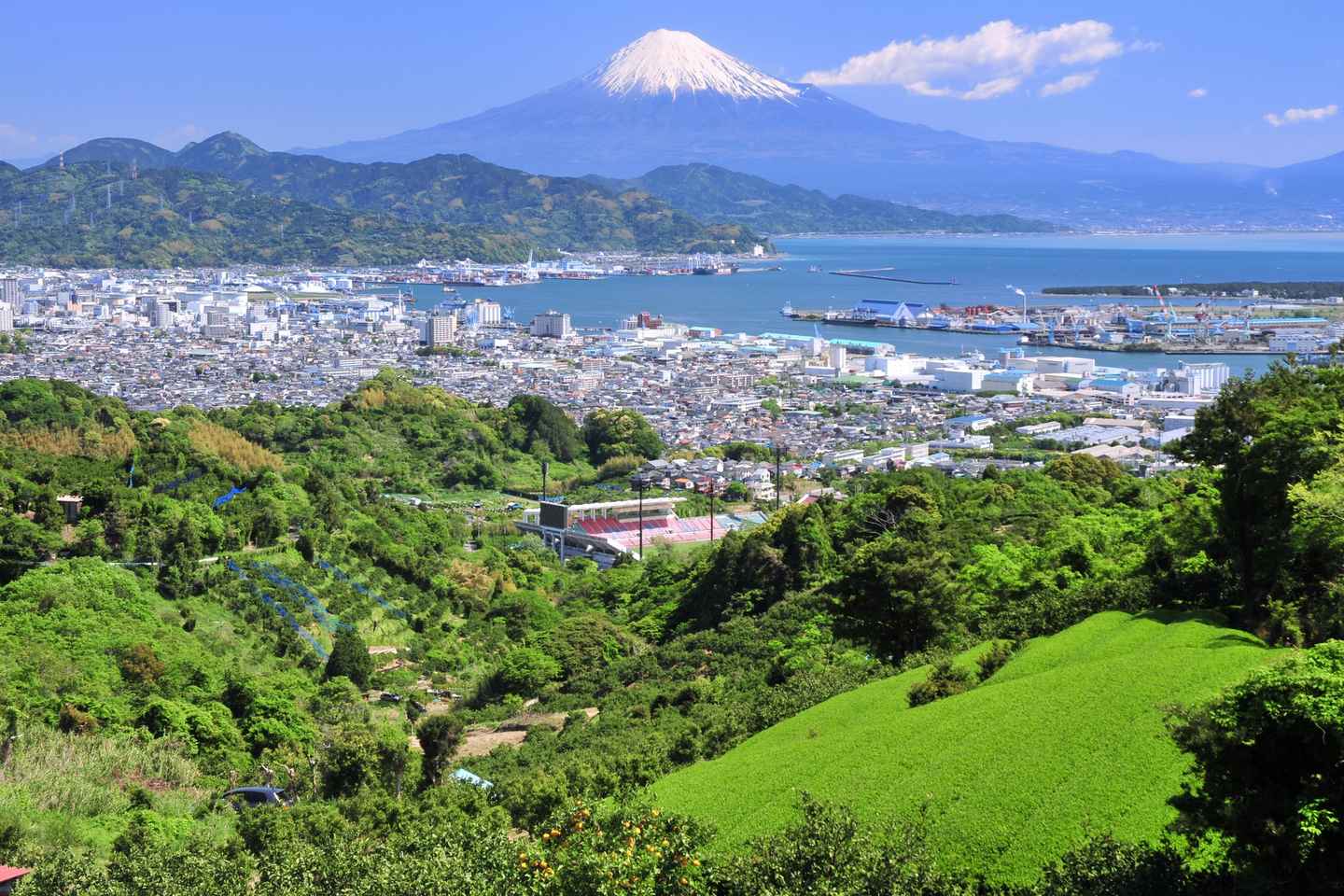 things to do in shizuoka | have a private guided tour around shizuoka