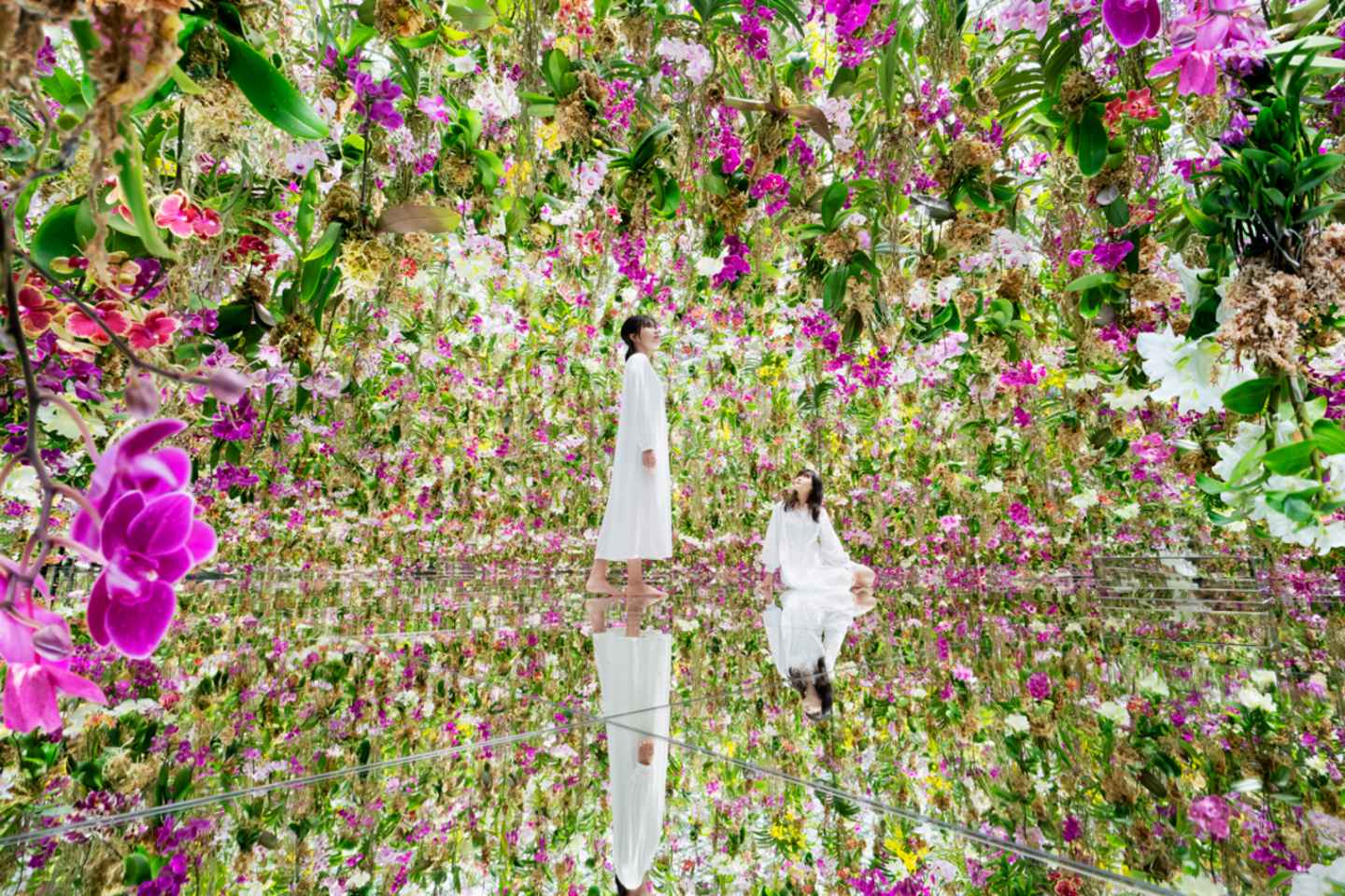 immerse yourself in digital art at teamlab planets tokyo