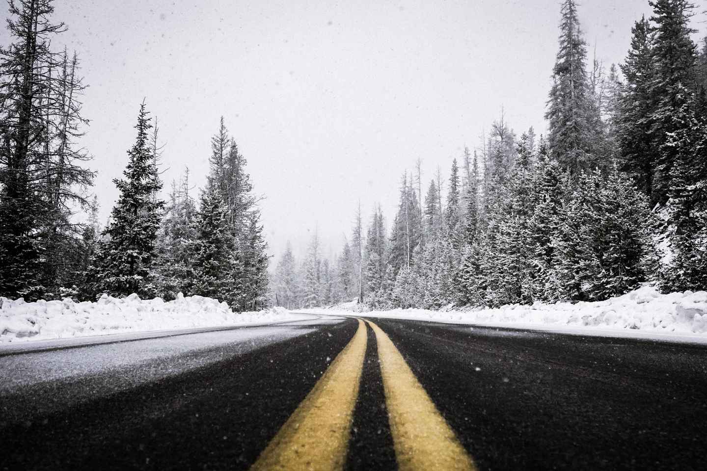 take in the beauty of rocky mountain national park with your dear one