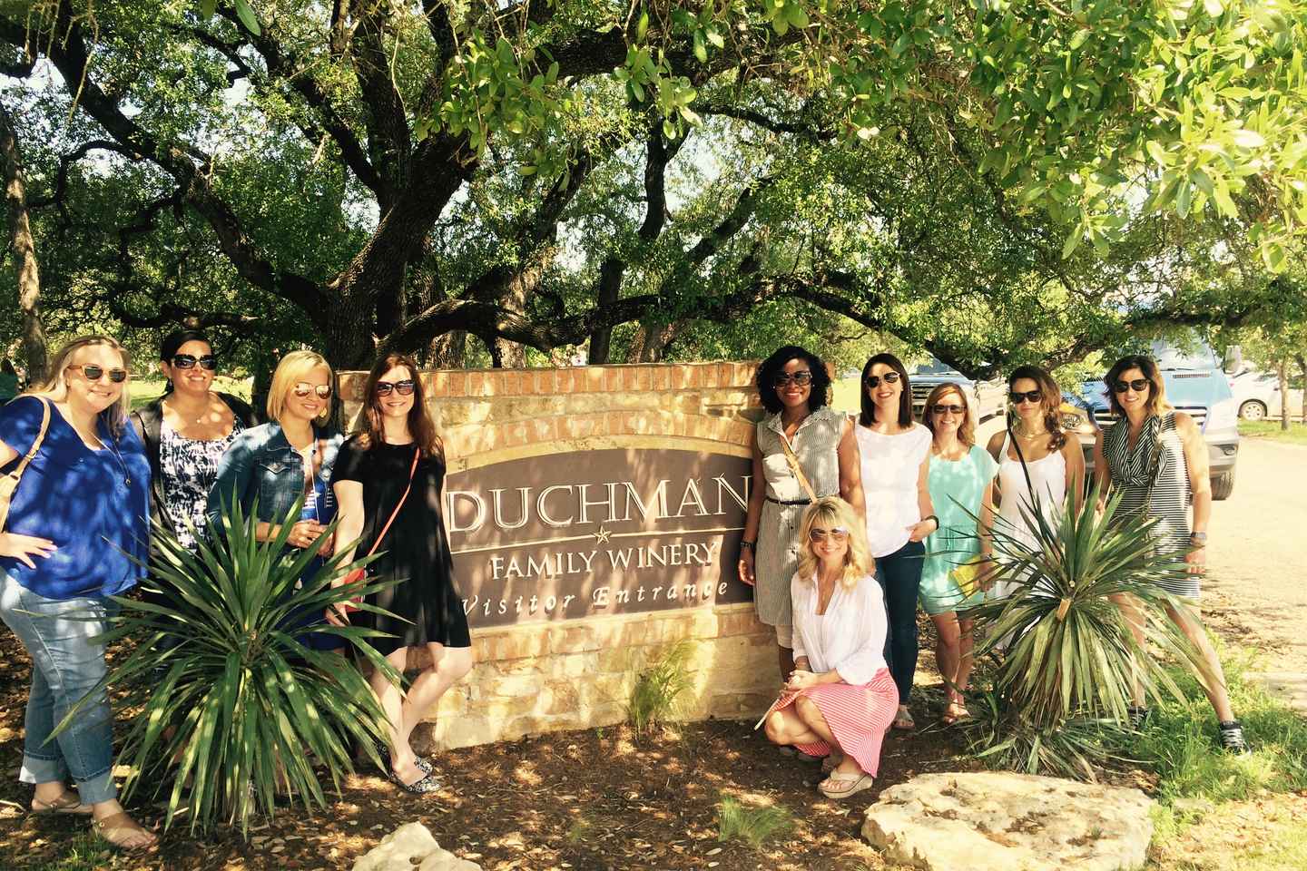 wine tours in texas | explore captivating wineries