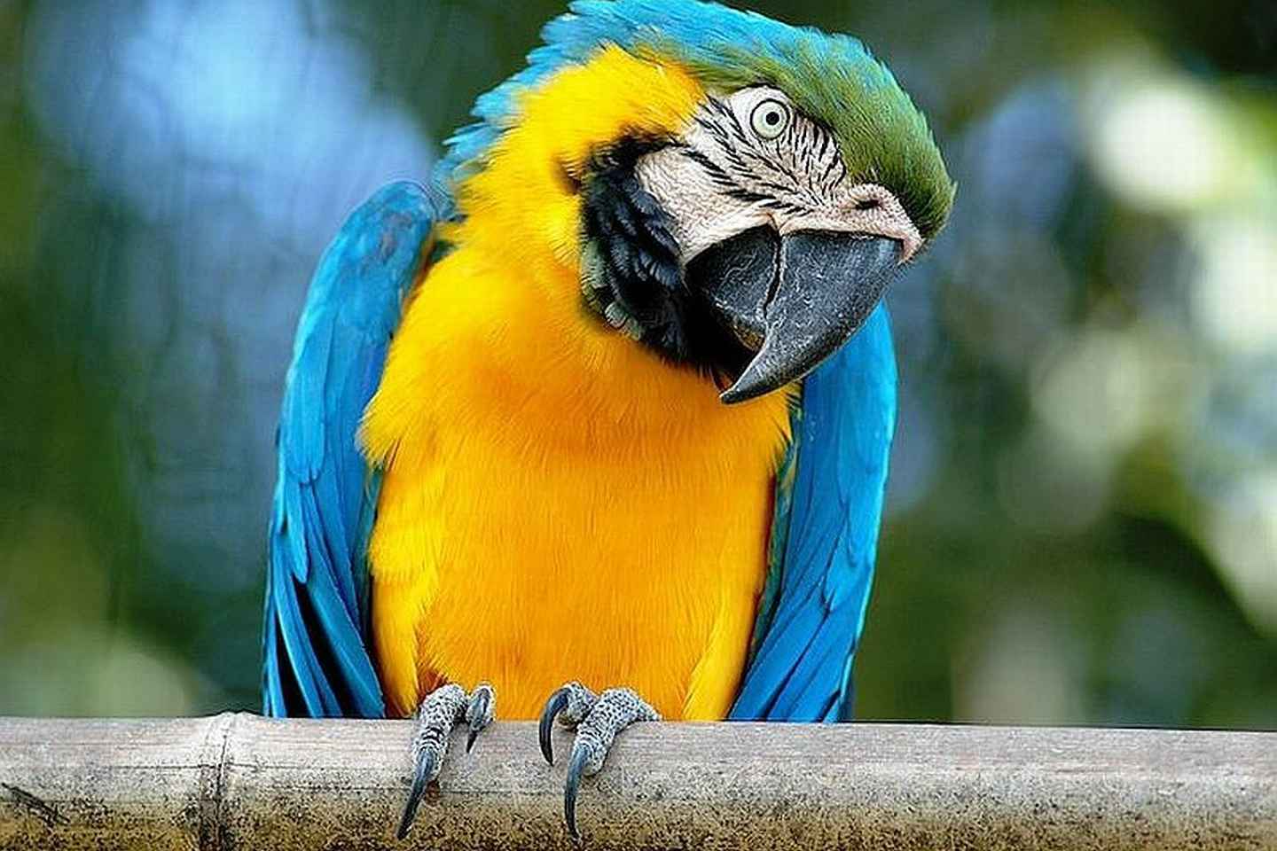 marvel at the animal world at bioparco di roma